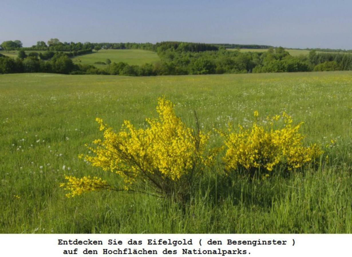 Ferienwohnung Gross B Schleiden Kültér fotó